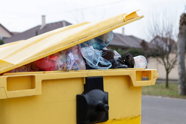 Best Same-Day Junk Removal Services  in Clton, IN